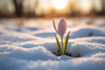 Tired of guessing whether to capitalize seasons? Get the definitive answer now. Our guide breaks down the simple grammar rule and the critical exceptions you need to know for professional writing. Stop making this common mistake and master when to capitalize winter, spring, summer, and fall today.